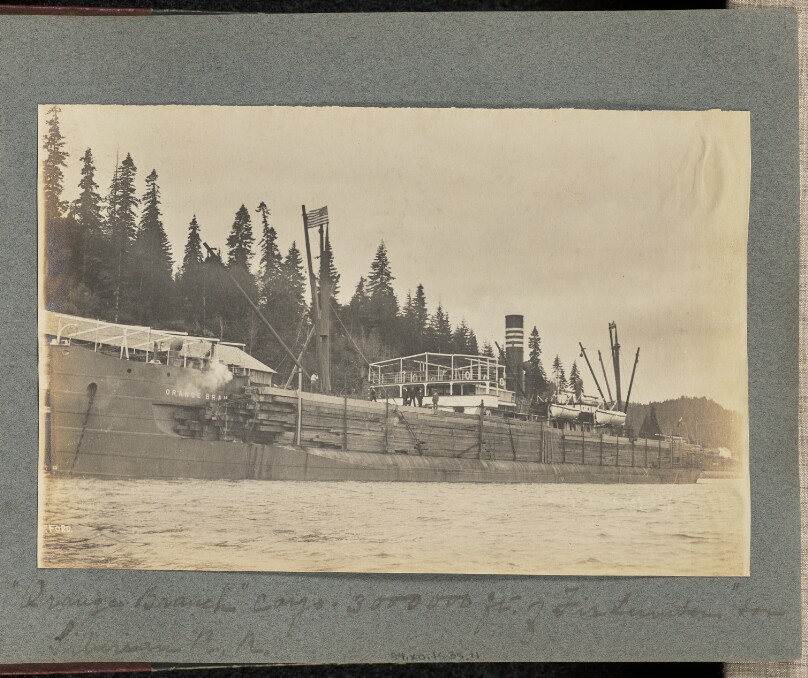 "Orange Branch" Cargo - 3,000,000 ft. of Fir Timber for Siberian R. R.
