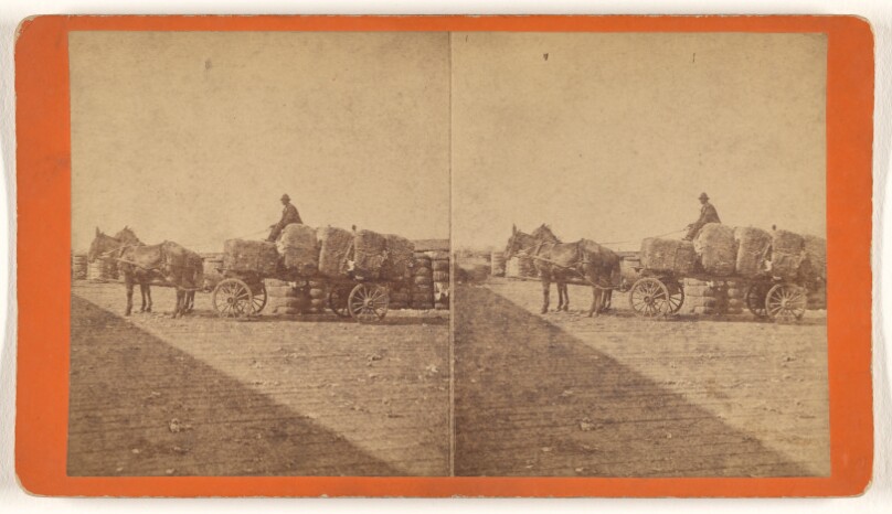 [Draymen in Cotton Yard, C.R.R.]