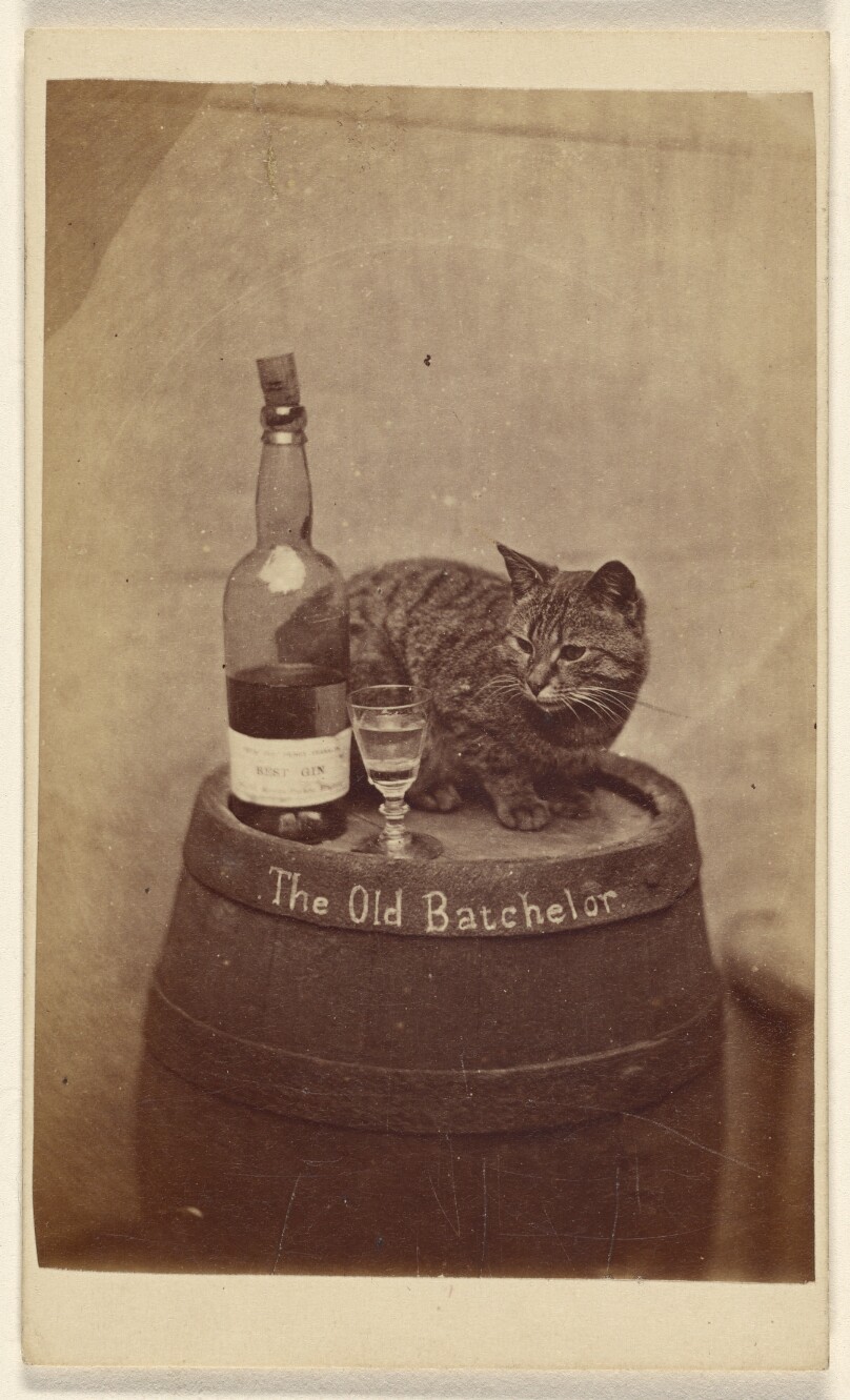 The Old Batchelor