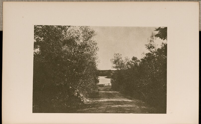 View in Lynn, Looking through a Vista of Trees on a Descending Road