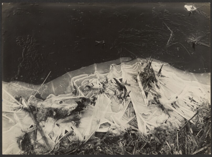 Frozen Ditch Side