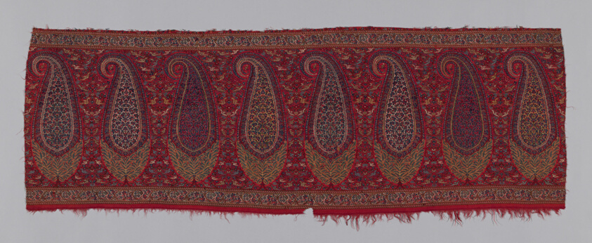 Pallu (Shawl Border) Fragment