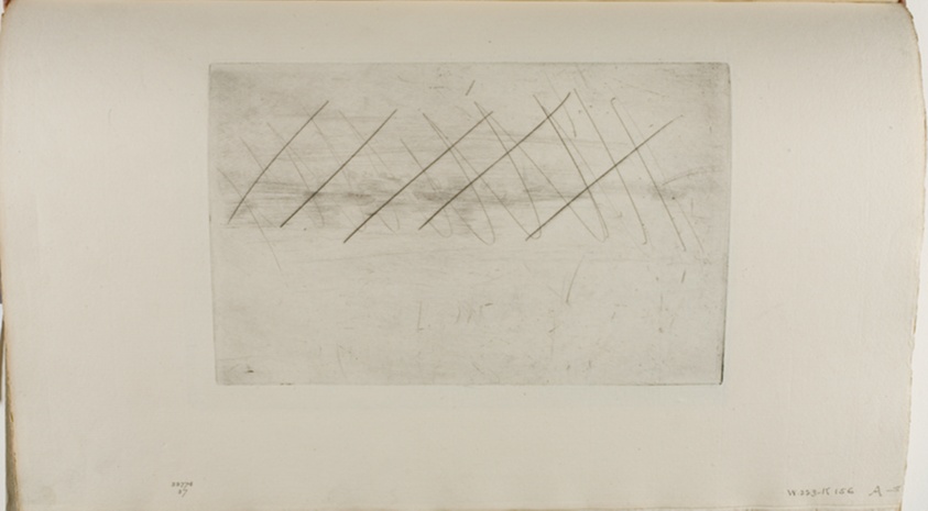 Steamboat Fleet, Chelsea