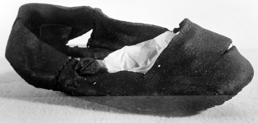 Shoe