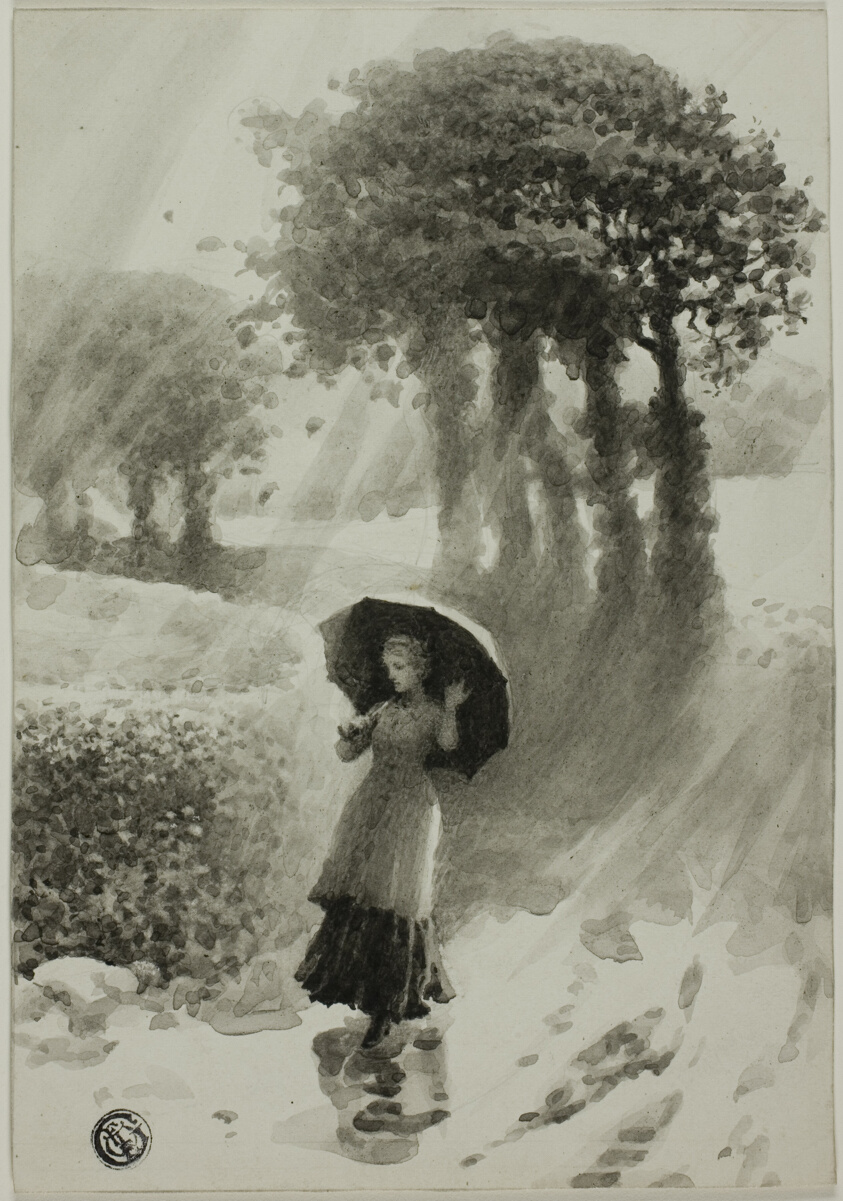 Summer Shower