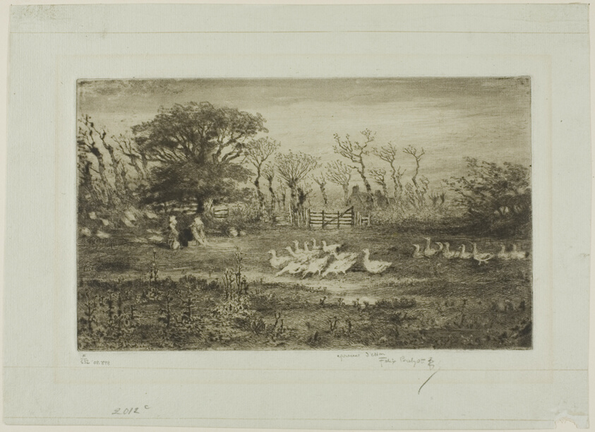 Geese
