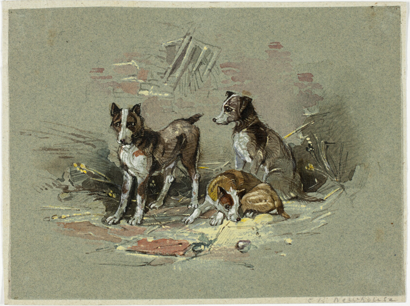 Three Dogs in an Alley
