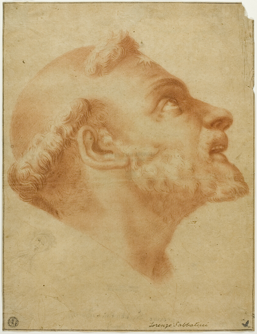 Upturned Head of Saint Dominic