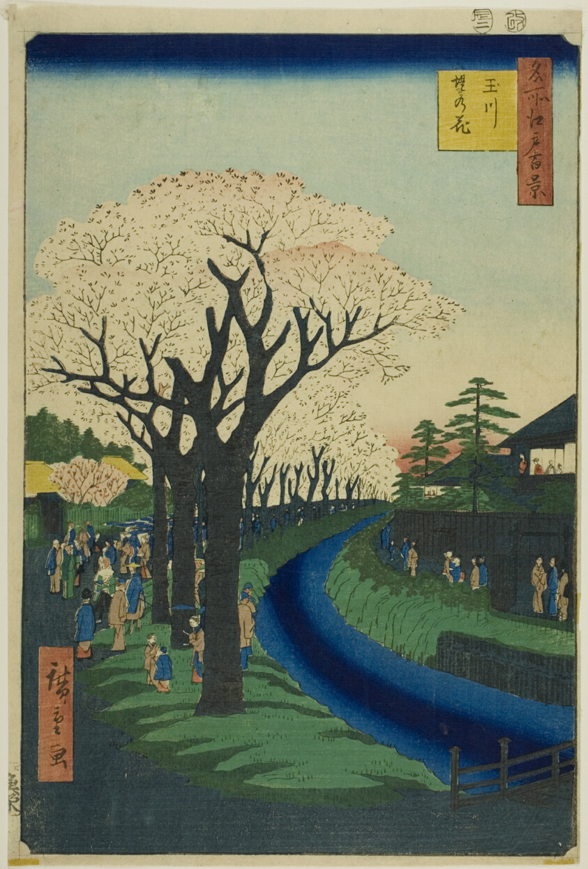 Blossoms on the Tama River Embankment (Tamagawa-zutsumi no hana), from the series "One Hundred Famous Views of Edo (Meisho Edo hyakkei)"