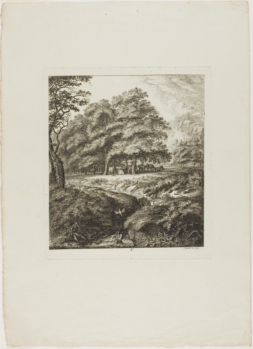 Man Reading a Book