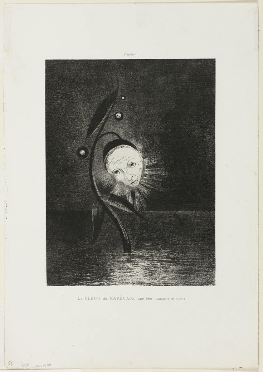 The Marsh Flower, a Sad Human Head, plate 2 of 6