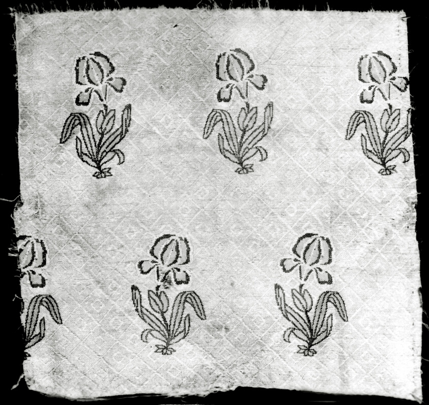 Fragment (Dress Fabric)