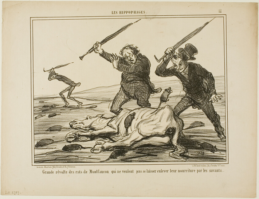 Great revolt of the rats of Montfaucon which don't want their feed to be taken away by scientists, plate 12 from Les Hippophages