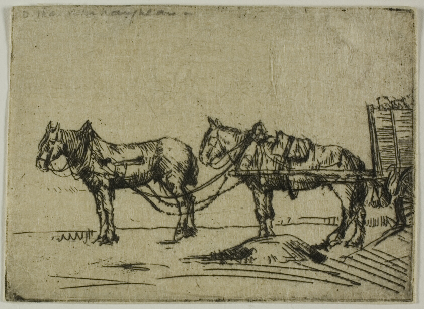 Two Horses