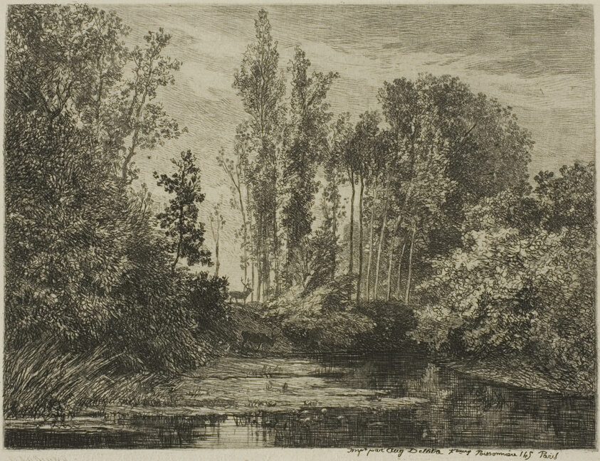 Stags at the Water's Edge