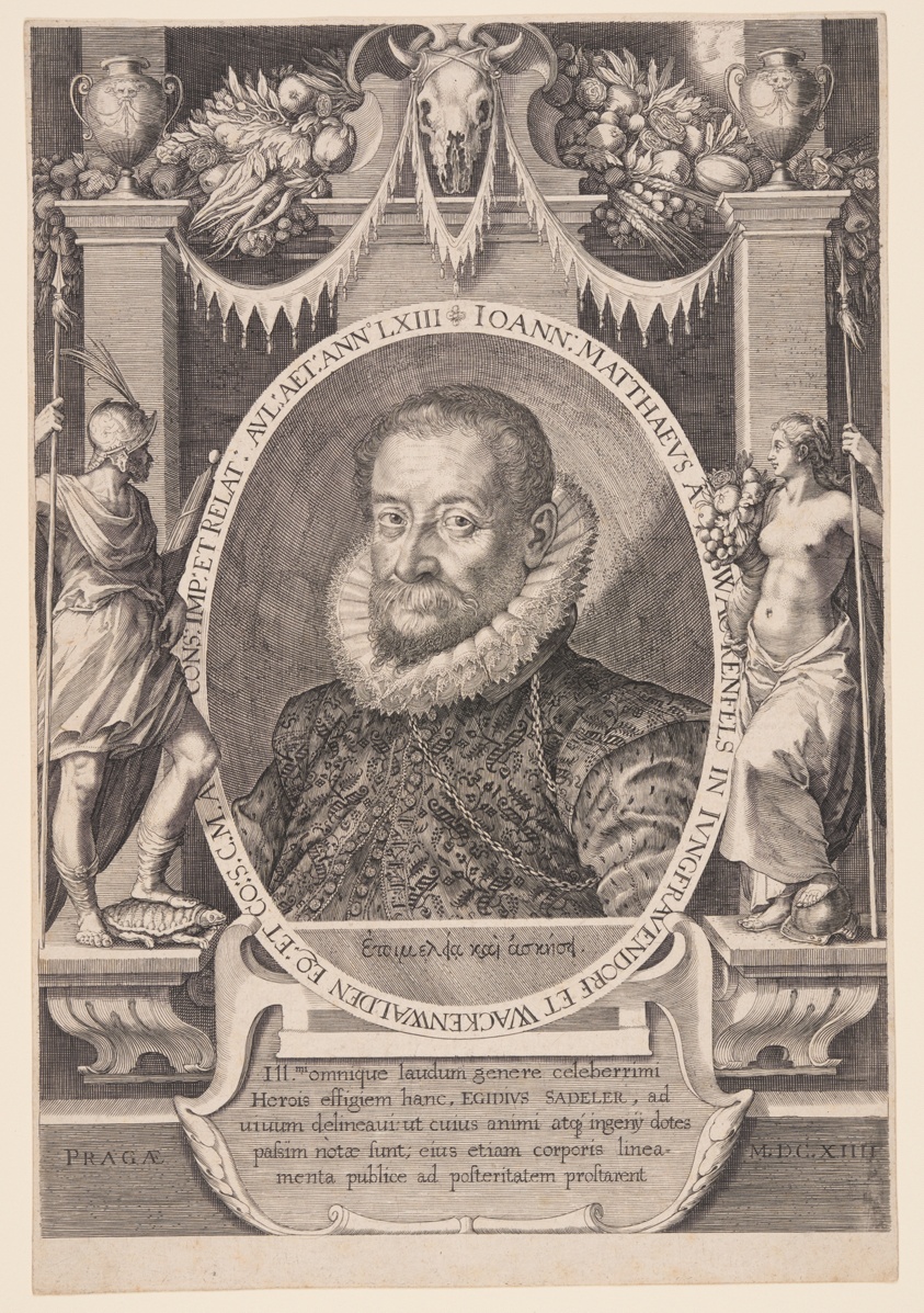 Johannes Matthaeus Wacker von Wackenfels, Diplomat