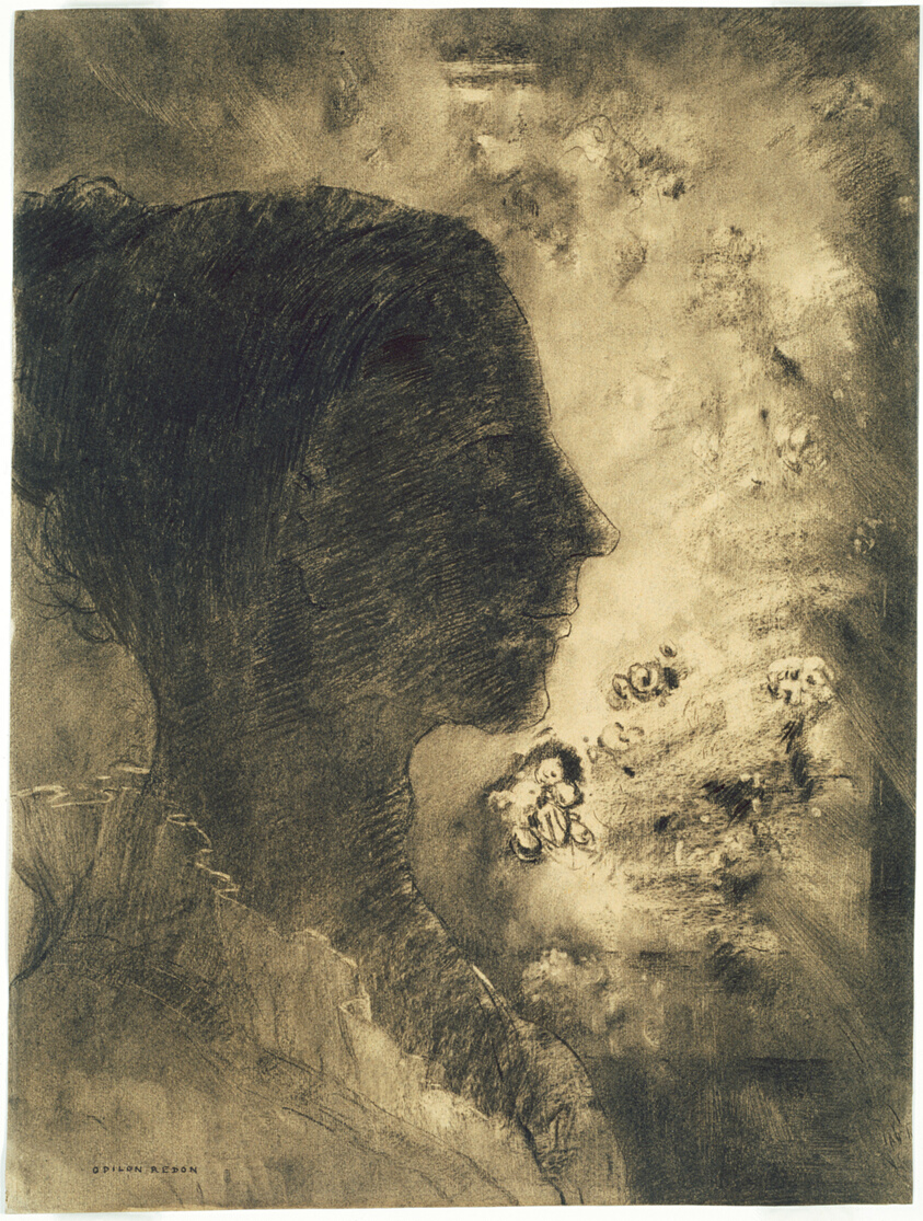 Profile of Shadow