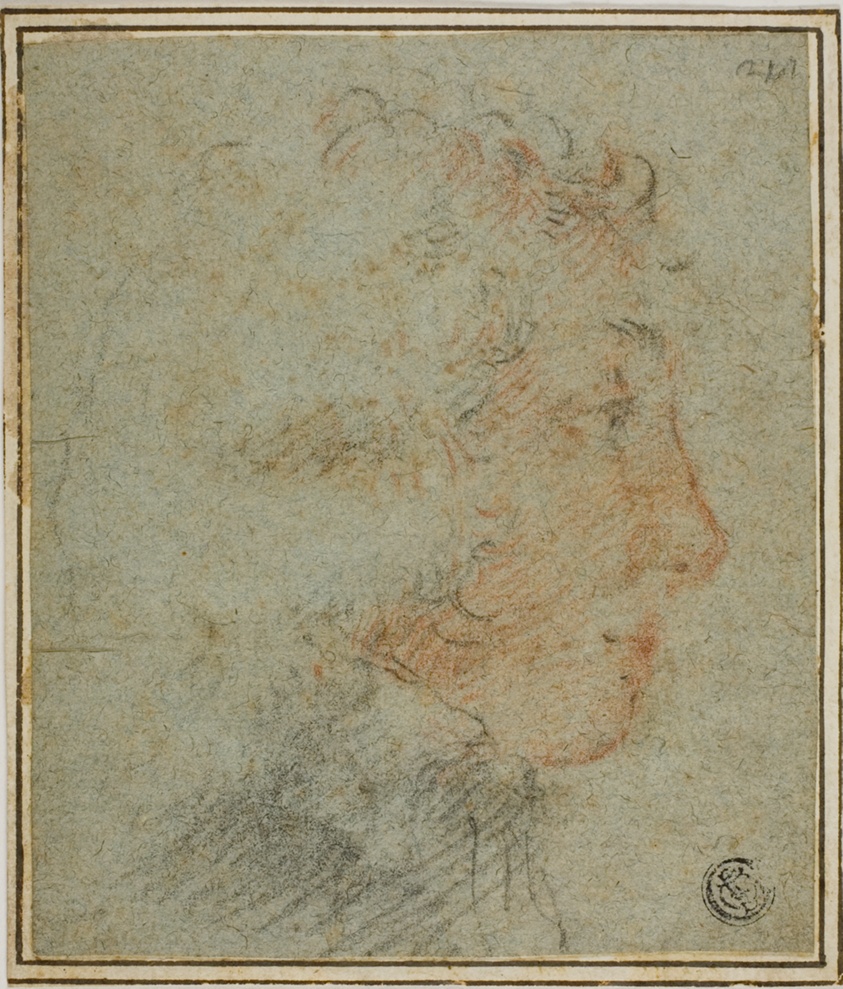 Profile of Young Man to Right