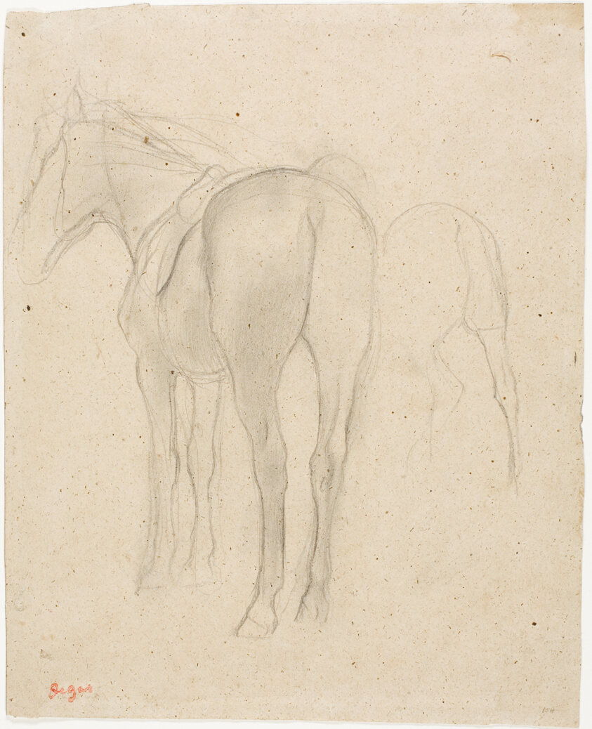 Studies of a Horse