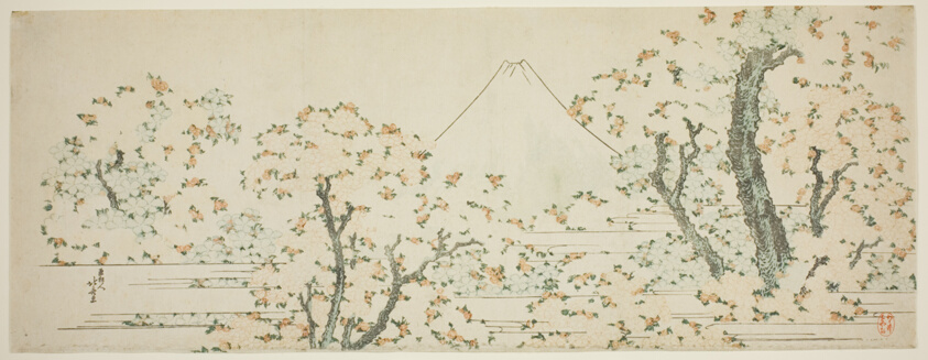 Mount Fuji with Cherry Trees in Bloom