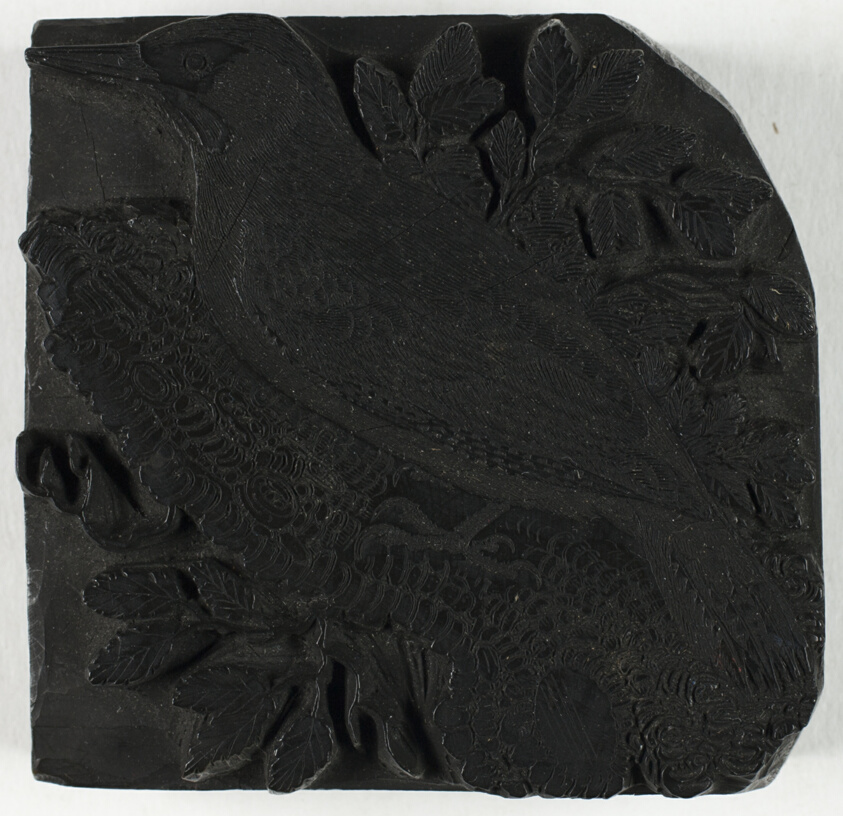 Woodblock for The Green Woodpecker, from A History of British Birds