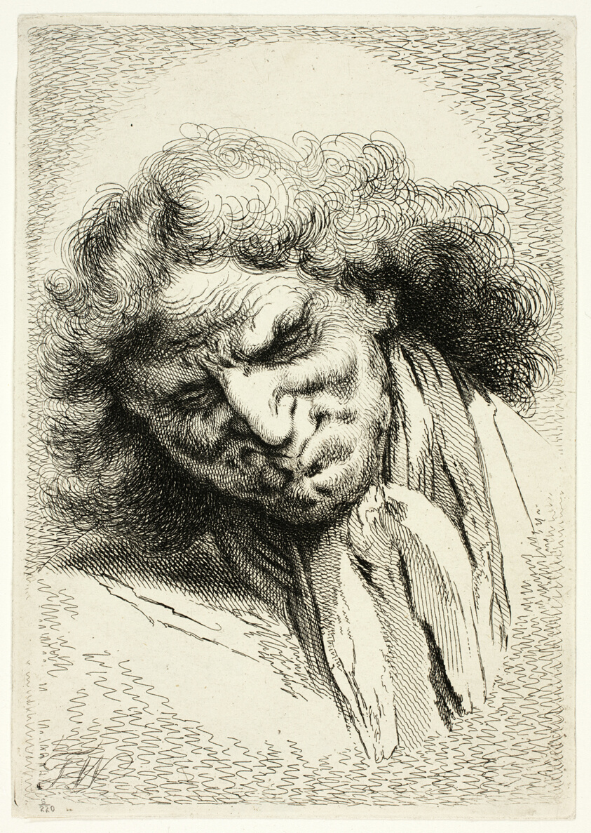 Head of an Old Man Sleeping