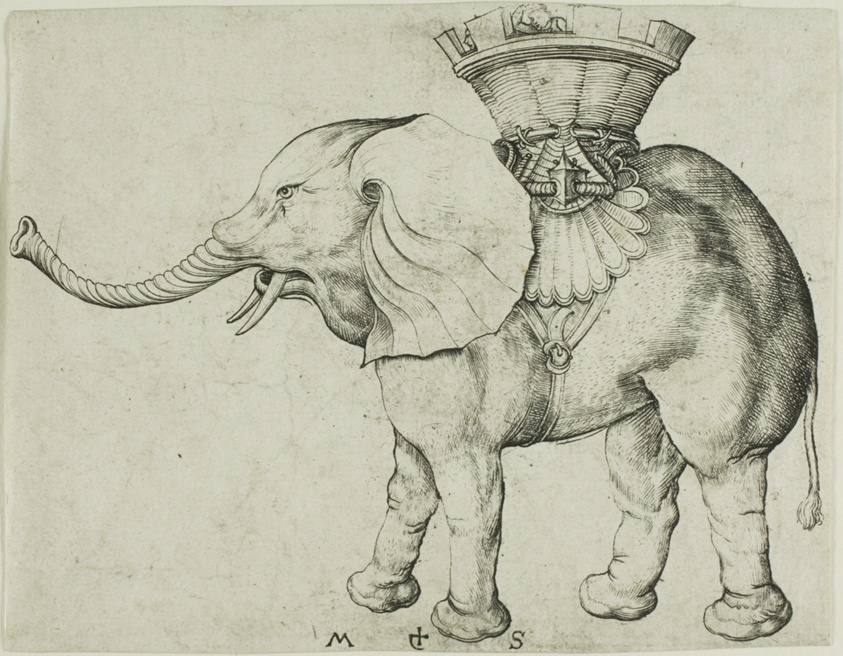The Elephant