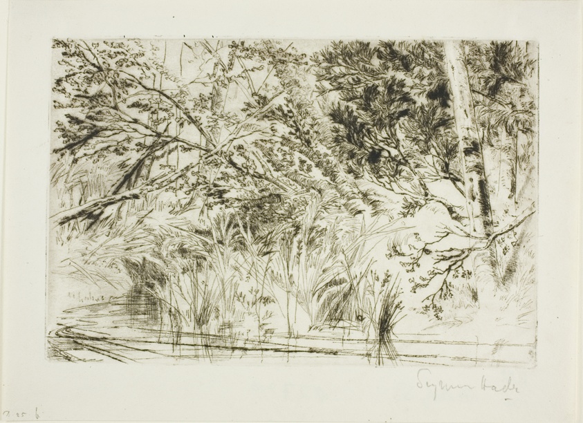 Mouth of a Brook, No. II
