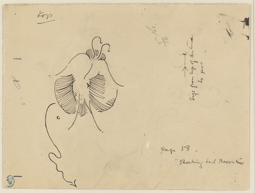 Butterfly (recto); Fragment of Butterfly (verso)