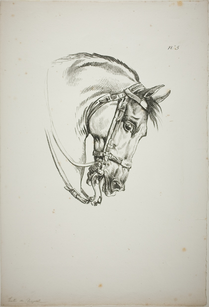 Detail of Horse's Head, Enlarged to Triple Size, Norman Royal Guard, No. 5, First Limoges Horse