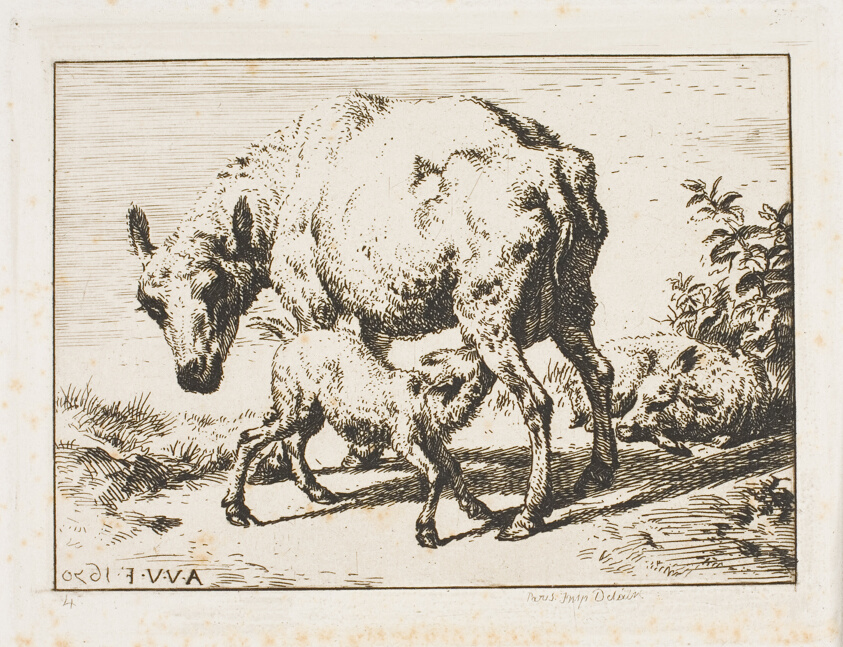 The Ewe with Two Lambs