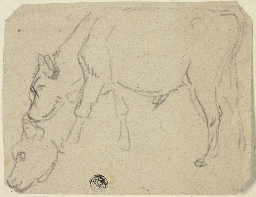 Sketches of Grazing Bull, Cow's Head (recto); Seated Cow in Profile (verso)