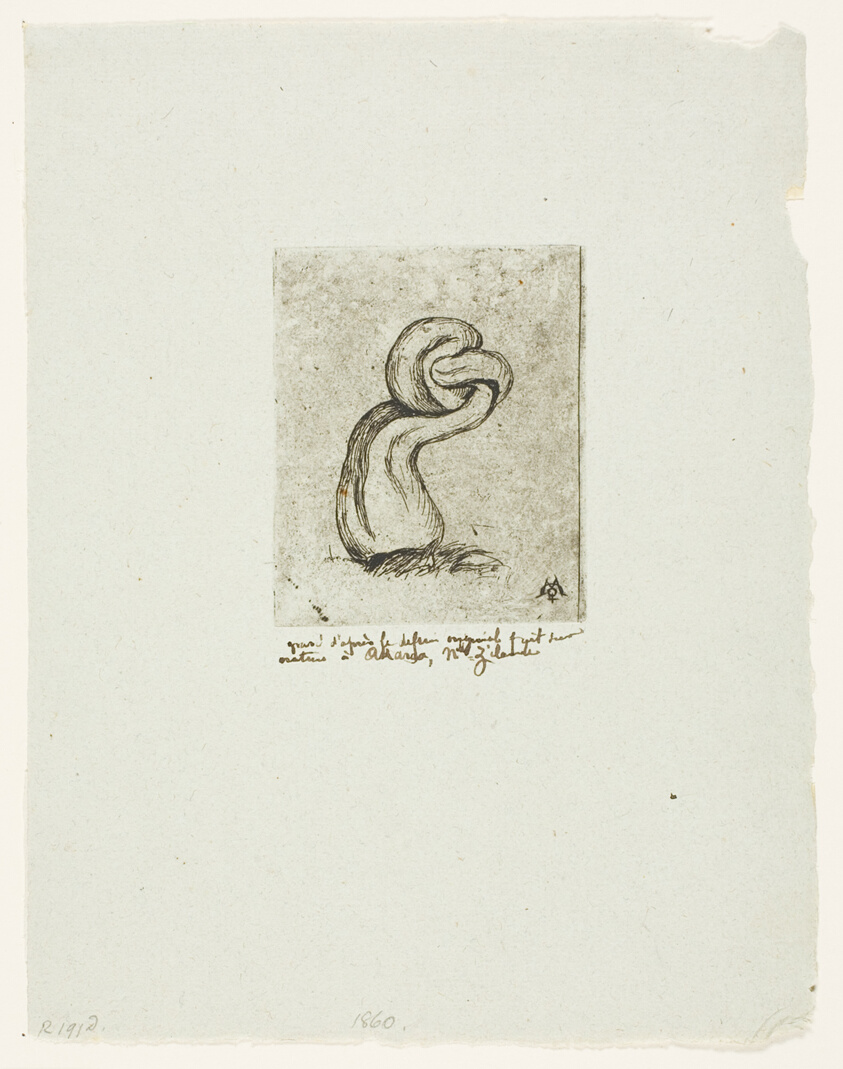 The Sickly Cryptogam
