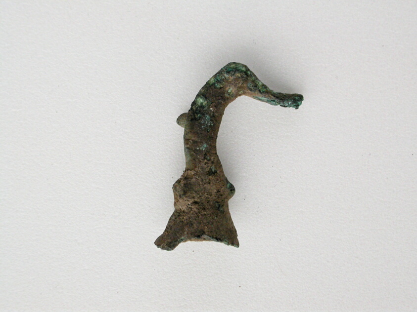 Bird Head Fragment