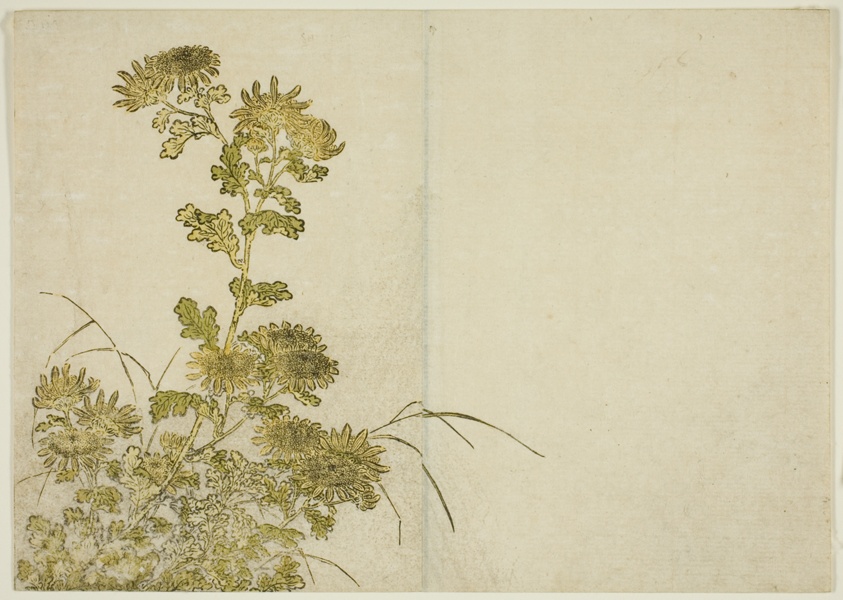 Winter Flowers: Chrysanthemums, from the book "Mirror of Beautiful Women of the Pleasure Quarters (Seiro bijin awase sugata kagami)," vol. 1