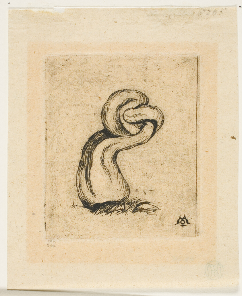 The Sickly Cryptogam
