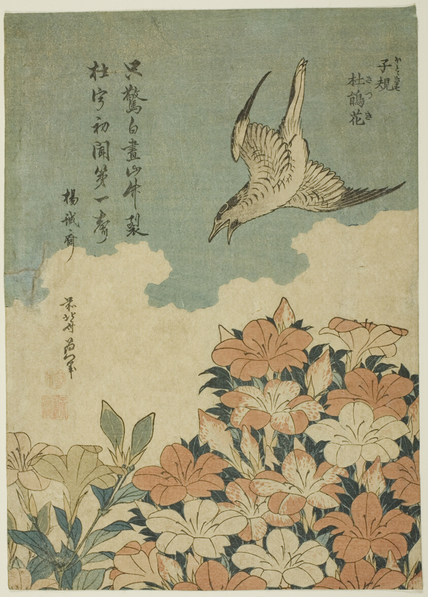 Cuckoo and Azaleas (Hototogisu, satsuki)