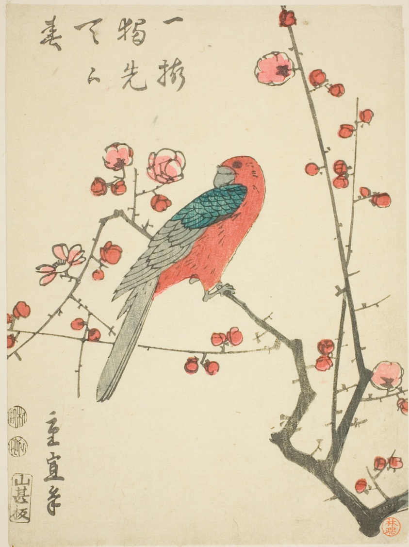 Parrot on plum branch
