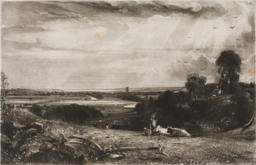 Summer Morning