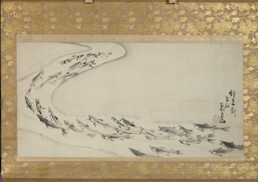 School of Fish