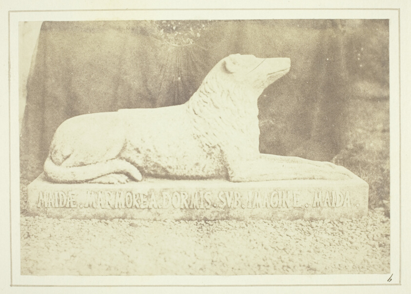 Effigy of Sir W. Scott's favourite dog Maida, by the side of the hall door at Abbotsford