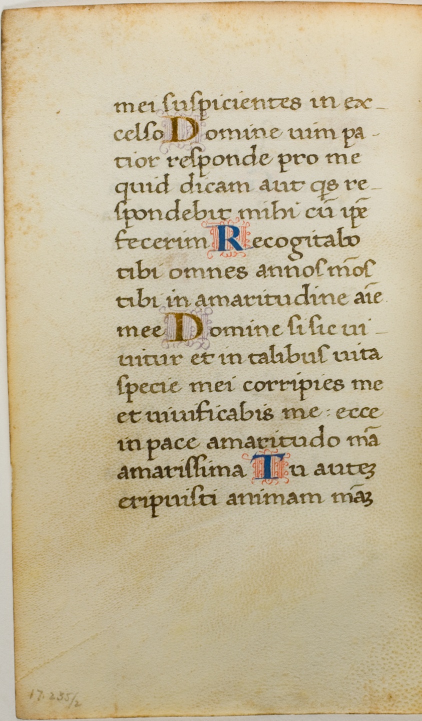 Illuminated Manuscript Leaf