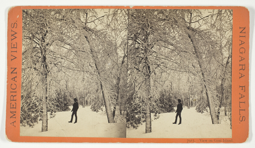 View on Goat Island, No. 7915 from the series "American Views, Niagara Falls"