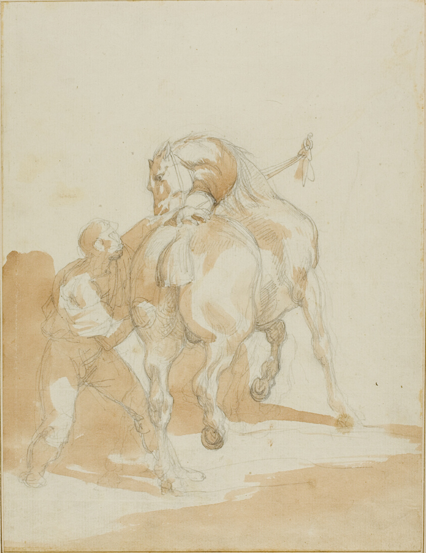 Stableboy Grooming a Horse