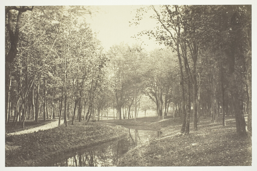 Untitled, from the series Bois de Boulogne"