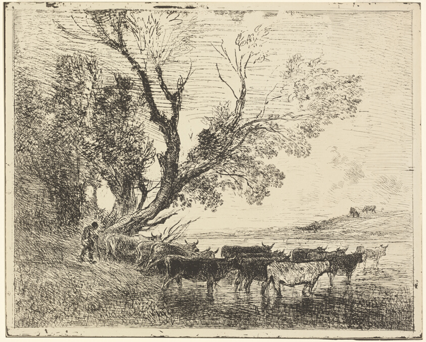 The Ford