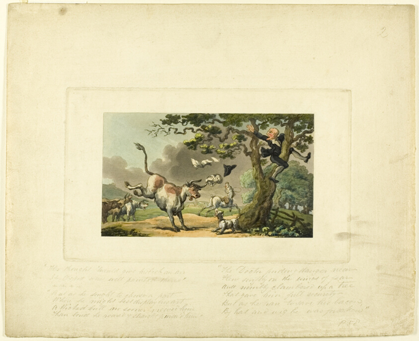 Doctor Syntax Pursued by a Bull, from The Tour of Doctor Syntax