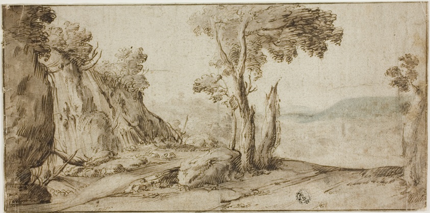 Rocks and Trees on Edge of Hill