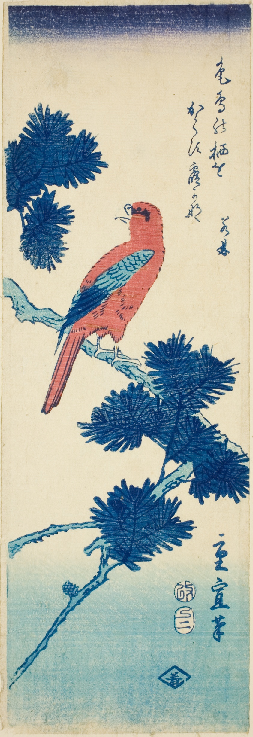 Bird on pine tree