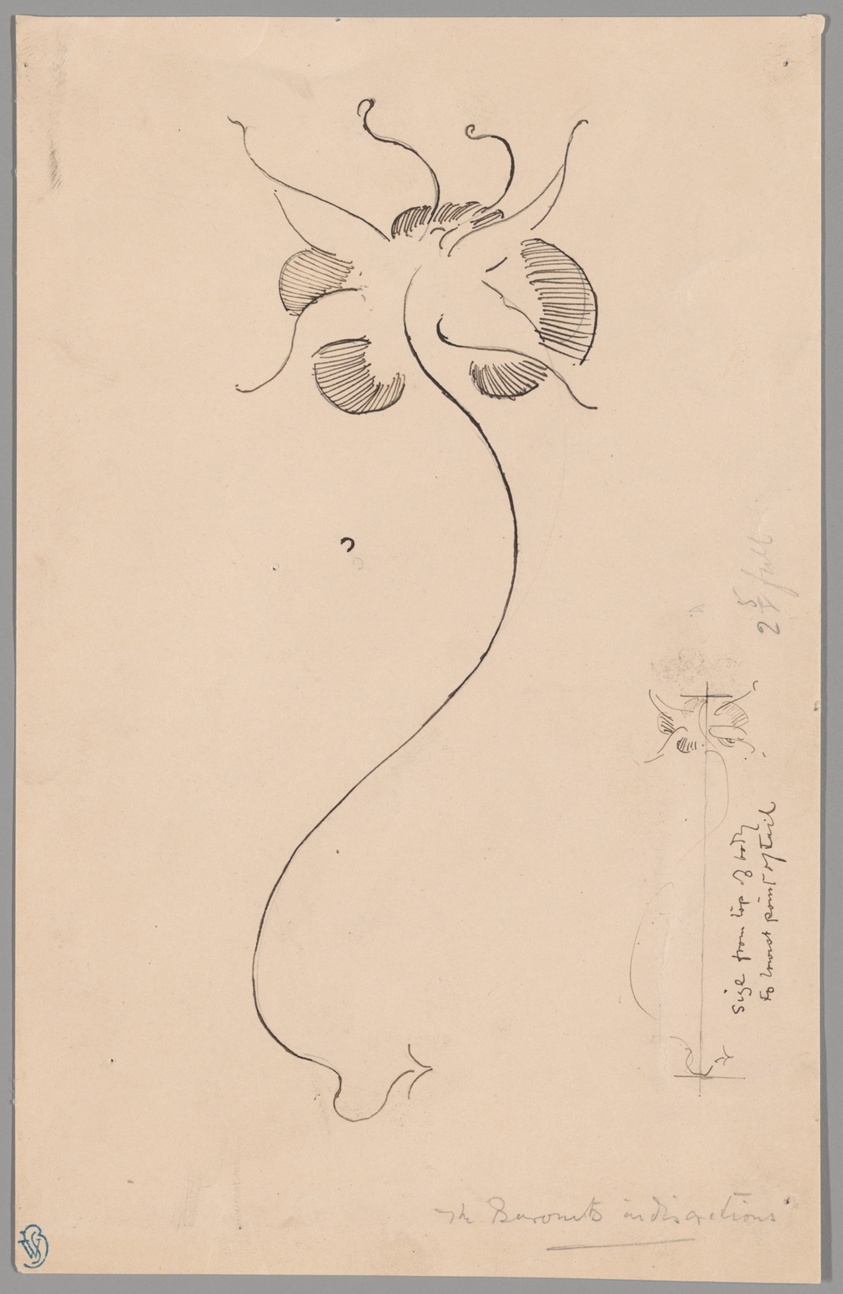 Butterfly (recto); Study of Butterfly (verso)